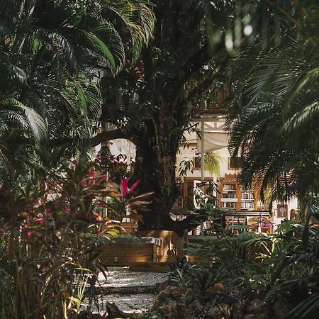 Griss Lodge & Spa Playa Santa Teresa  Экстерьер фото