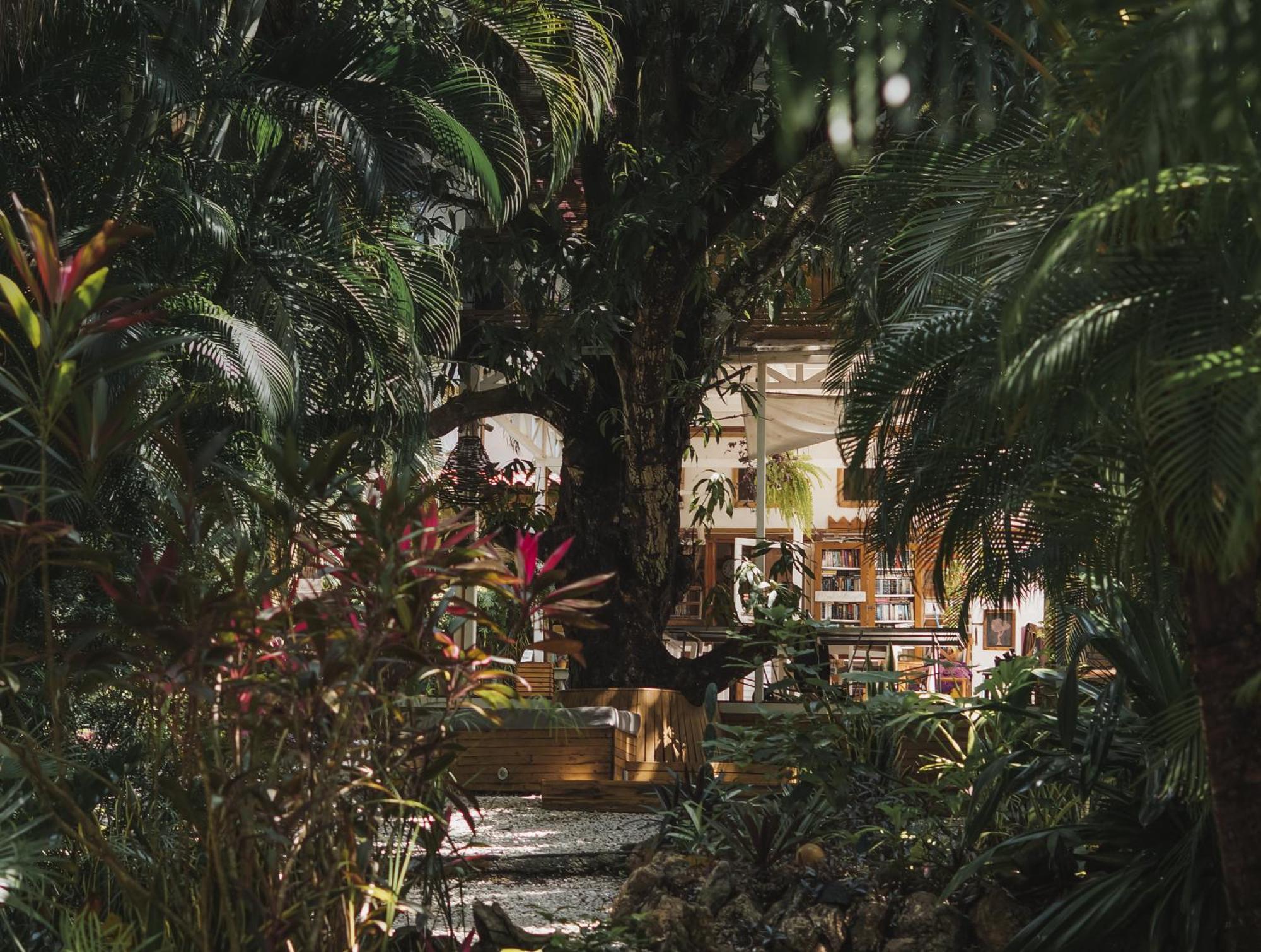 Griss Lodge & Spa Playa Santa Teresa  Экстерьер фото